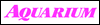 �A�N�A���E��