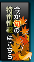 クリック！無修正特番まるわかり！
