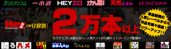 Hey挎z̖Tv@IS,],܂œO