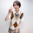 素人