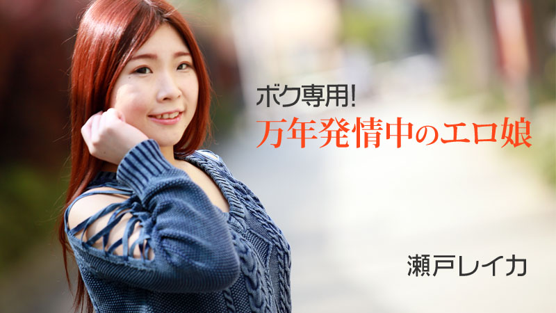 ボク専用!万年発情中のエロ娘:瀬戸レイカ