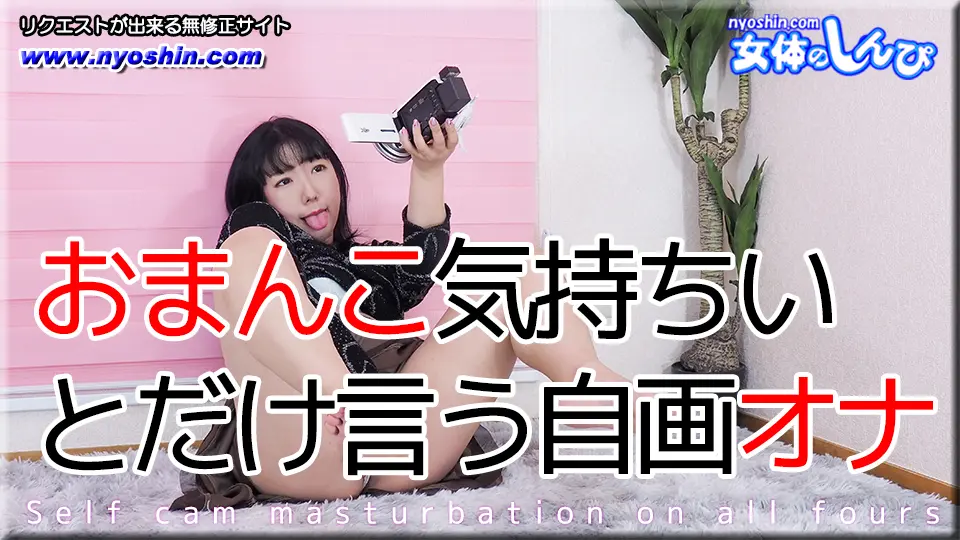 おまんこ気持ちいいとだけ言う自画オナ (マニア) (ひまり )