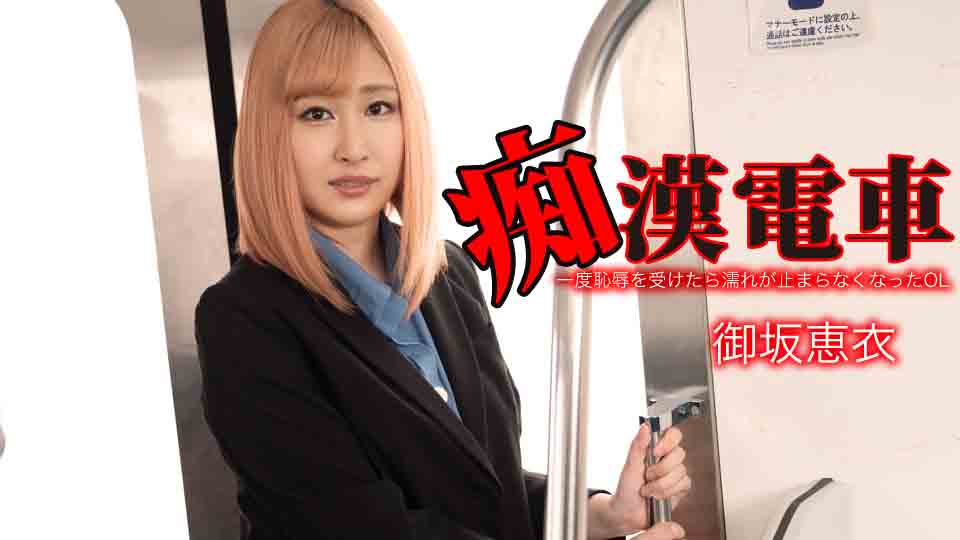 <span class="title">痴0電車 ～一度恥辱を受けたら濡れが止まらなくなったOL～ – Hey動画</span>
