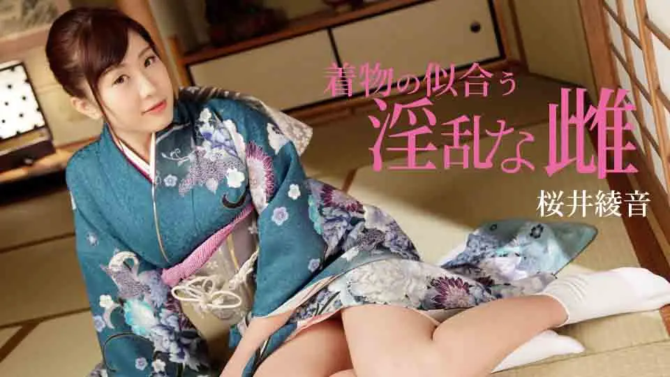 着物の似合う淫乱な雌 (av9898) (桜井綾音 )