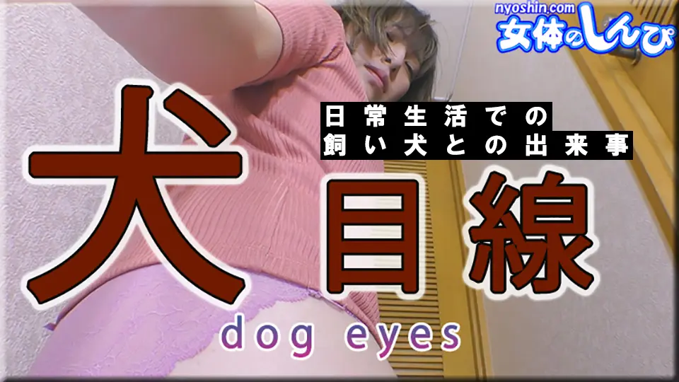 犬目線 (マニア) (なほこ )